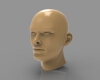 human-head-文体生活-艺术品-工业CAD模型-3D城
