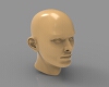 human-head-文体生活-艺术品-工业CAD模型-3D城