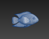 火鹤鱼-动植物-鱼类-VR/AR模型-3D城