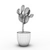 仙人掌-动植物-盆栽-VR/AR模型-3D城