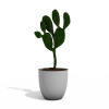仙人掌-动植物-盆栽-VR/AR模型-3D城