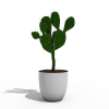 仙人掌-动植物-盆栽-VR/AR模型-3D城