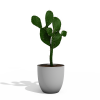 仙人掌-动植物-盆栽-VR/AR模型-3D城