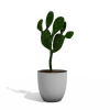 仙人掌-动植物-盆栽-VR/AR模型-3D城