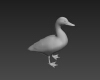 鸭子-动植物-其它-VR/AR模型-3D城
