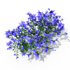 紫色的花-动植物-花草-VR/AR模型-3D城