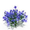 紫色的花-动植物-花草-VR/AR模型-3D城