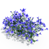 紫色的花-动植物-花草-VR/AR模型-3D城