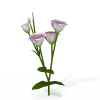 花草-动植物-花草-VR/AR模型-3D城