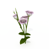 花草-动植物-花草-VR/AR模型-3D城