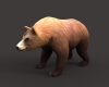 熊-动植物-哺乳动物-VR/AR模型-3D城