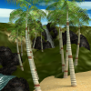 夏威夷-动植物-植物-VR/AR模型-3D城