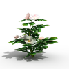 茶花-动植物-花草-VR/AR模型-3D城