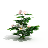 茶花-动植物-花草-VR/AR模型-3D城