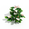 茶花-动植物-花草-VR/AR模型-3D城