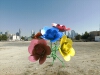 flowers-solidworks-文体生活-其它-工业CAD模型-3D城