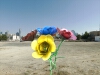 flowers-solidworks-文体生活-其它-工业CAD模型-3D城