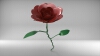 flowers-solidworks-文体生活-其它-工业CAD模型-3D城