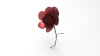 flowers-solidworks-文体生活-其它-工业CAD模型-3D城