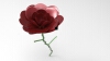 flowers-solidworks-文体生活-其它-工业CAD模型-3D城