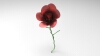 flowers-solidworks-文体生活-其它-工业CAD模型-3D城