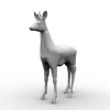 雄獐-动植物-哺乳动物-VR/AR模型-3D城