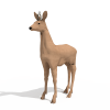 雄獐-动植物-哺乳动物-VR/AR模型-3D城