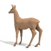 雄獐-动植物-哺乳动物-VR/AR模型-3D城