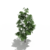 树-动植物-植物-VR/AR模型-3D城