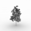 树-动植物-植物-VR/AR模型-3D城