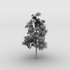 树-动植物-植物-VR/AR模型-3D城