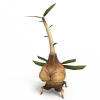 最终幻想04b-角色人体-角色-VR/AR模型-3D城
