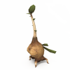 最终幻想04b-角色人体-角色-VR/AR模型-3D城