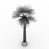 热带树-动植物-植物-VR/AR模型-3D城