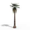 热带树-动植物-植物-VR/AR模型-3D城