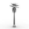 热带树-动植物-植物-VR/AR模型-3D城