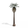 热带树-动植物-植物-VR/AR模型-3D城