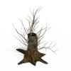 大树-动植物-植物-VR/AR模型-3D城