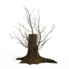 大树-动植物-植物-VR/AR模型-3D城