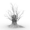 大树-动植物-植物-VR/AR模型-3D城
