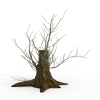 大树-动植物-植物-VR/AR模型-3D城