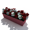 蝴蝶花-动植物-盆栽-VR/AR模型-3D城