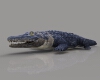 鳄鱼-动植物-爬行动物-VR/AR模型-3D城