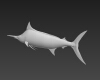 大西洋蓝枪鱼-动植物-鱼类-VR/AR模型-3D城