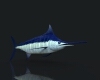 大西洋蓝枪鱼-动植物-鱼类-VR/AR模型-3D城