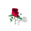 玫瑰花-动植物-花草-VR/AR模型-3D城