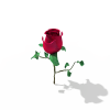 玫瑰花-动植物-花草-VR/AR模型-3D城