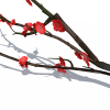 一枝梅花-动植物-花草-VR/AR模型-3D城