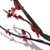 一枝梅花-动植物-花草-VR/AR模型-3D城