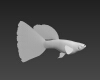 孔雀鱼-动植物-鱼类-VR/AR模型-3D城